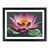 Black Framed selected