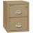 Fireproof 2 Steel Vertical Filing Cabinet-12136690-216453-139380639