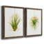 «Hanging Airplant II», ensemble de 2 impressions-446387501-487734114