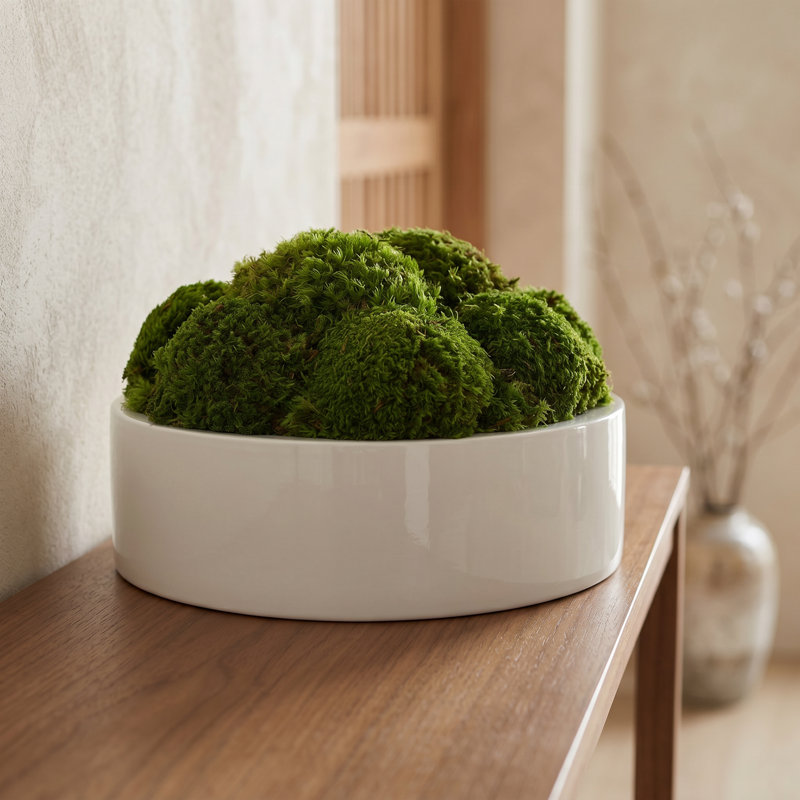 Nature's Nostalgia 8'' Moss Plant in Fiberstone Planter, White