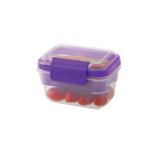 Food Storage Container
