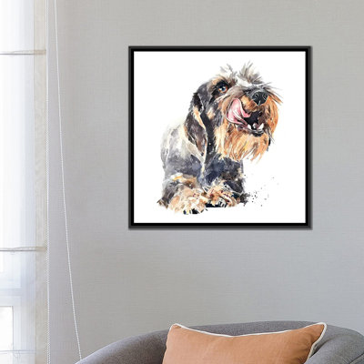 " Wirehaired Dachshund I " by EdsWatercolours