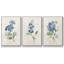 Farmhouse Periwinkle I 3 pièces-97795696-97795697