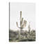 « rosé timide cactus », photographie-43719286-43719285