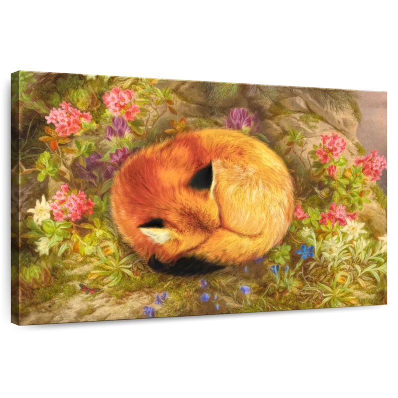 The Cozy Fox, 32" H x 48" W