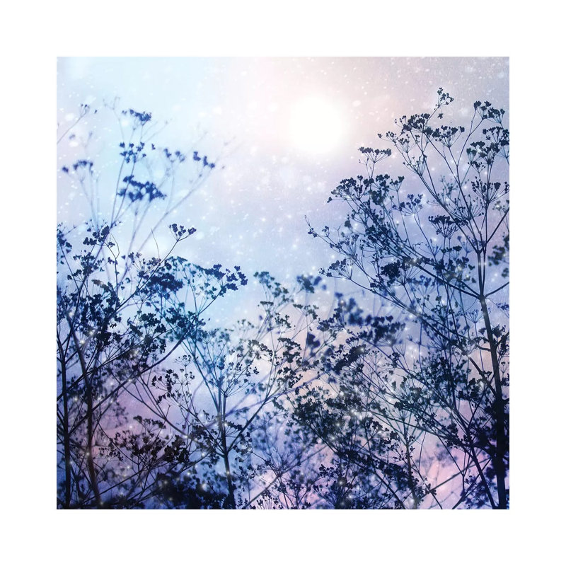 Winter Solstice - Wrapped Canvas Print, 45.72 cm H x 45.72 cm W x 1.91 cm D