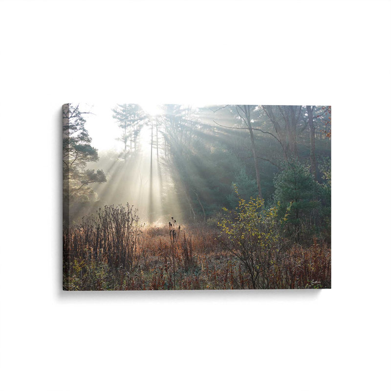 «The Sunlight Above» par Lori Deiter, reproduction d'art, Toile non encadrée, Ne s’applique pas, L 48 x H 32