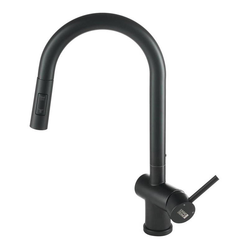 Belfry Kitchen Hockenberry Pull Out Kitchen Faucet
