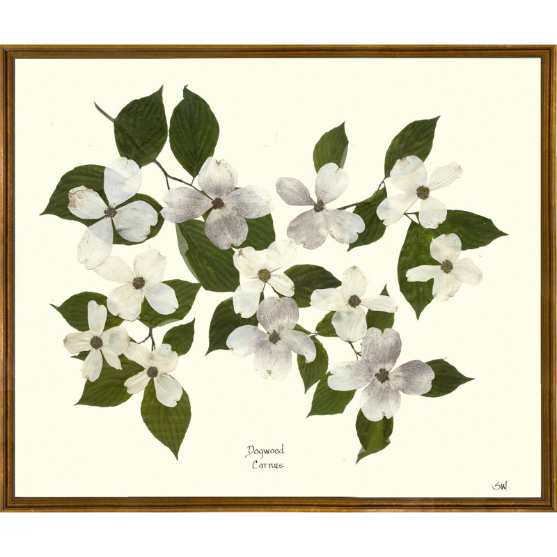 Plants & Flowers Print