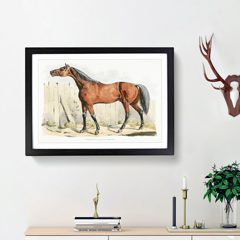 Dark-Brown Horse by Henry Alken - Picture Frame Painting Print, 36cm H x 48cm W x 2cm D, Black Framed