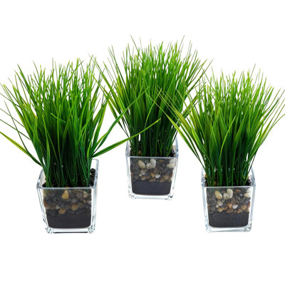 Ensemble de 3 plantes de gazon artificiel dans des pots carrés en verre transparent avec de la terre et des cailloux artificiels, ensemble de 3 petites plantes de bureau en pot