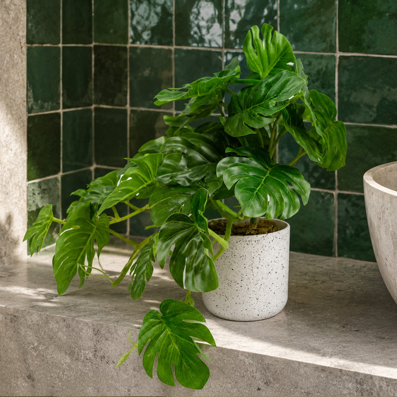 Monstera Arrangement in Pot