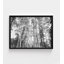 Art mural grand noir et blanc avec tremble, esthétique naturelle surdimensionnée de la forêt du Colorado