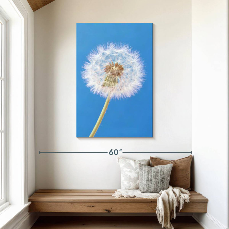 Dandelion Puffball