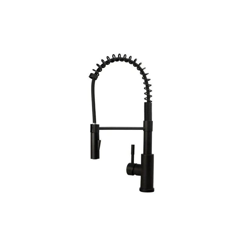 Allora USA Kitchen Faucet, Matte Black