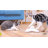 Agility Equipment Interactive Butterfly Flutter For Exercise Enrichment