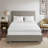 Mattress Topper-780069046