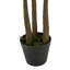 Arbre à figuier artificiel 59,1 "en pot