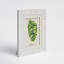 Langham White Bone Embossed Picture Frame