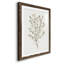 Cadre simple mat Premium Sprig III prêt à accrocher-1581818522-1581818527