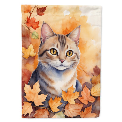Chat en feuilles d'automne