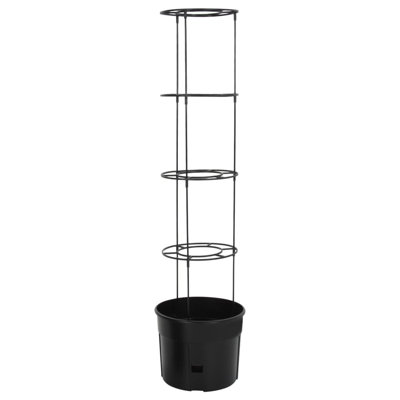Avellana Pot Planter