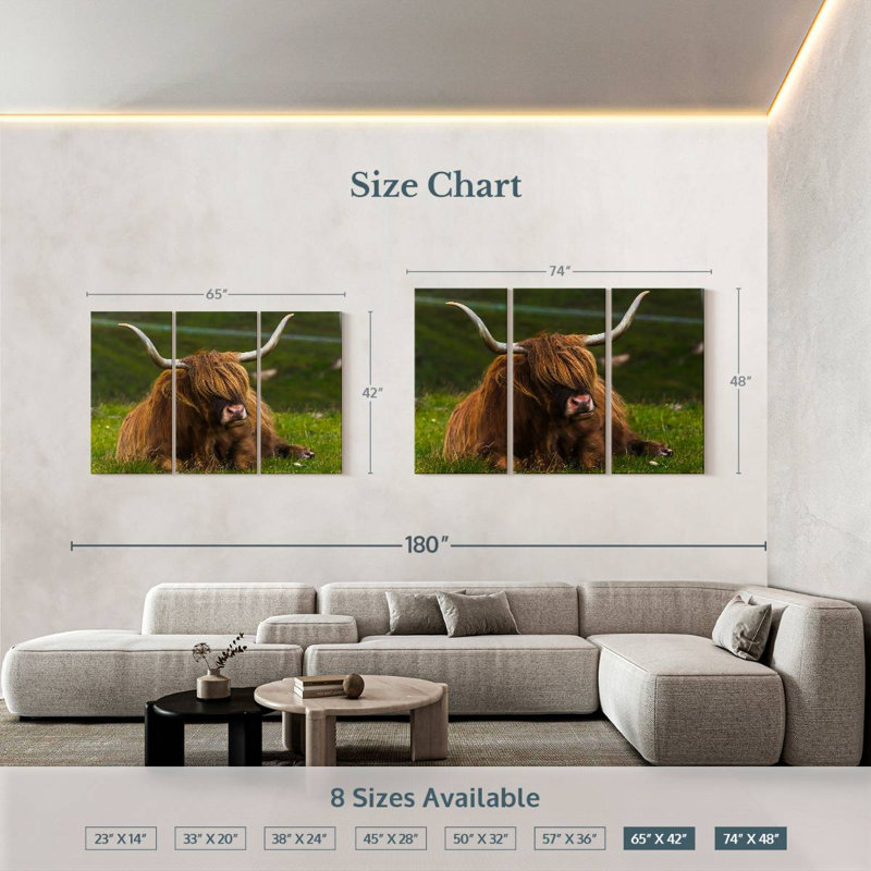 Brampt Highland Cow sur herbe, H 42 po x l 65 po