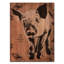 « porc », reproduction d’impression sur toile tendue-32927626