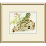 Naturalist Frog 1 Painting