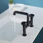 Widespread 2-handle Bathroom Faucet