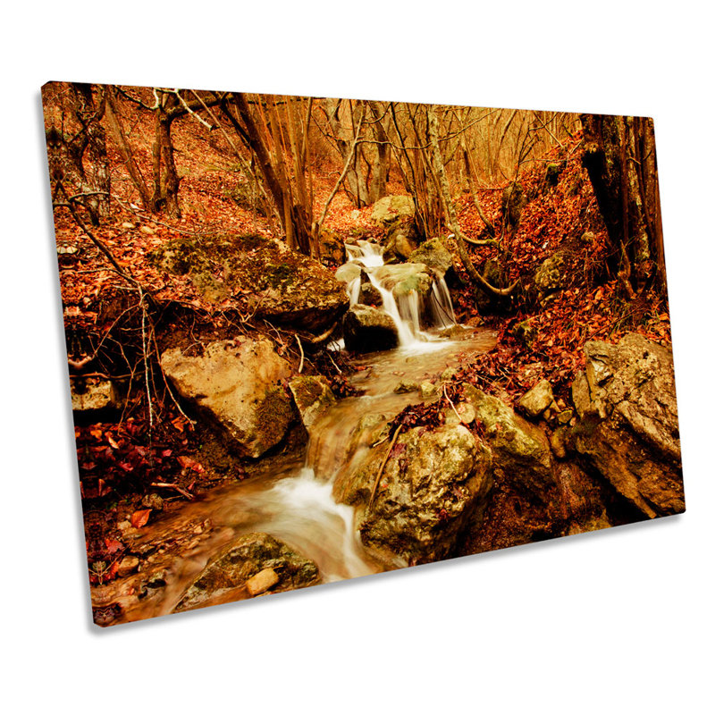 Forest Brown River Landscape - Wrapped Canvas Print, 50.8cm H x 76.2cm W x 2cm D