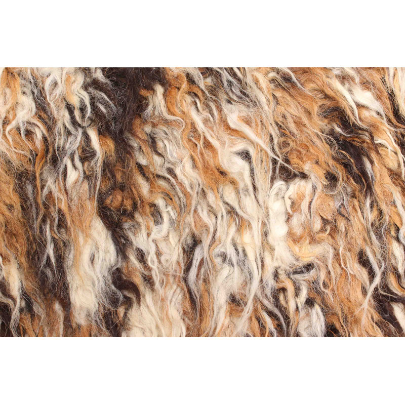 Sienna Brown Rug 5'3" x 7'9"