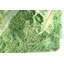 Anjeli 100cm Faux Foliage Plant