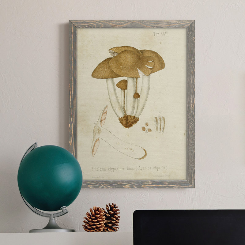 Mushroom Variétés V - reproduction d'art sur toile, Encadré gris