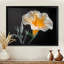 «White Yellow Whimsical Wonders Morning Glory - Morning Glory», reproduction d'art murale-258240035-258240045