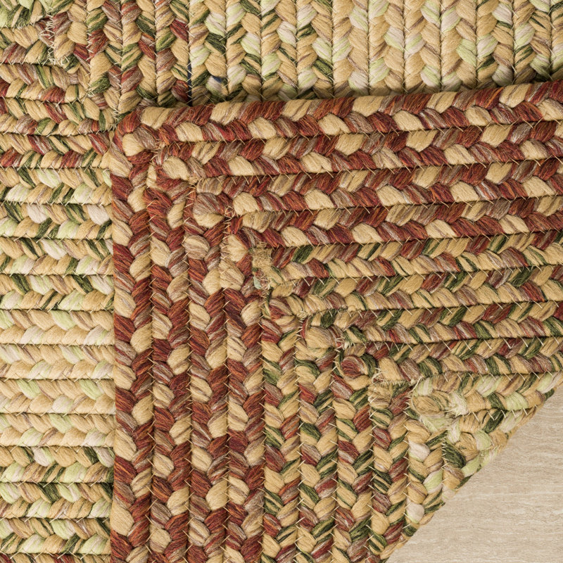 Georgina Geometric Braided Rust/Orange Area Rug, Runner 2'3" x 10'