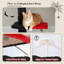 Tour pour chat du sol au plafond, hauteur réglable, avec hamac, plateforme et boule de suspension confortables