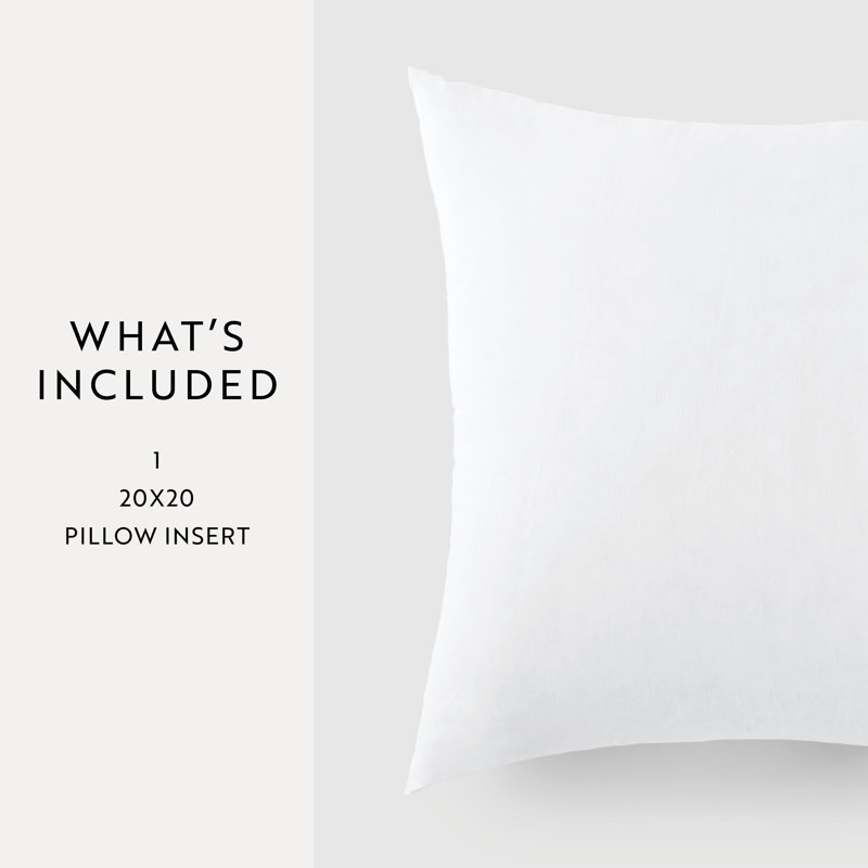  Plush 21x21 Throw Pillow Insert