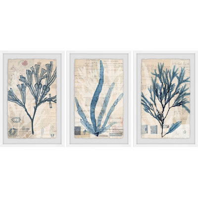 " Seaweed Arrangement " 3 - Pieces