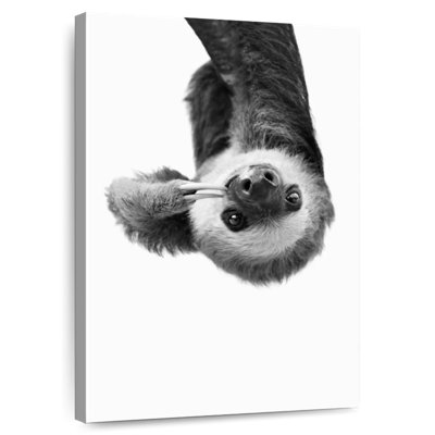 Brampt Sloth BW