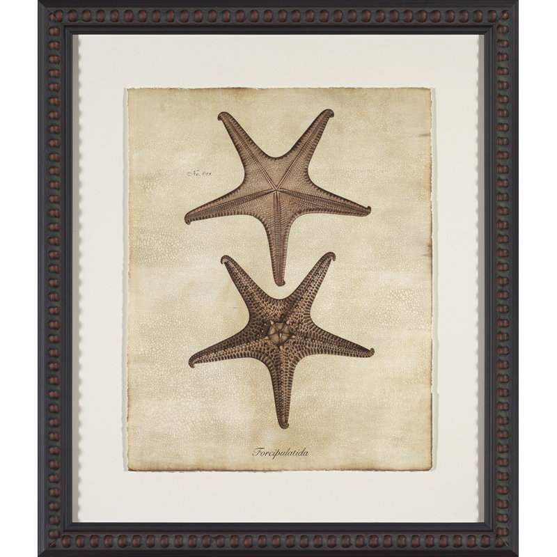 Sepia Sea Collection II Painting