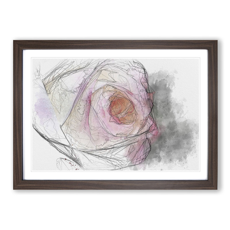 Pink Tipped Rose Sketch - Picture Frame Graphic Art Print, 40cm H x 60cm W x 2cm D, Walnut Framed