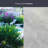 Starburst Window Film 24" x 36"