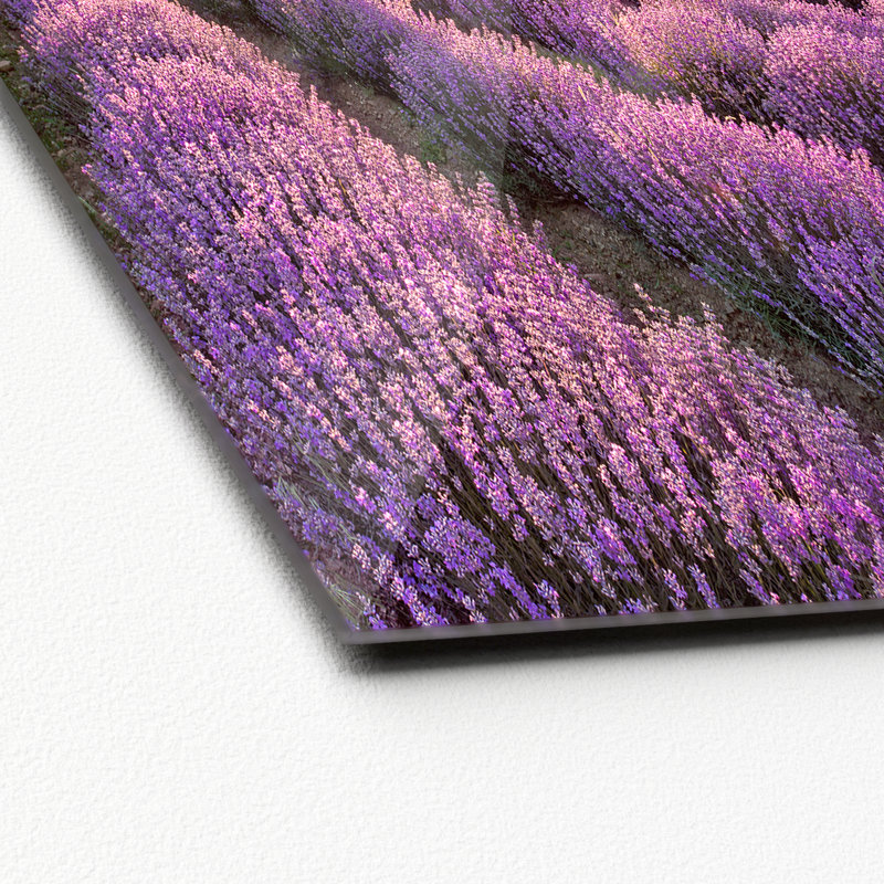No Frame Painting