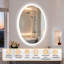 Oval LED Lighted Bathroom Mirror Backlit with Defog Memory Function -1967938282