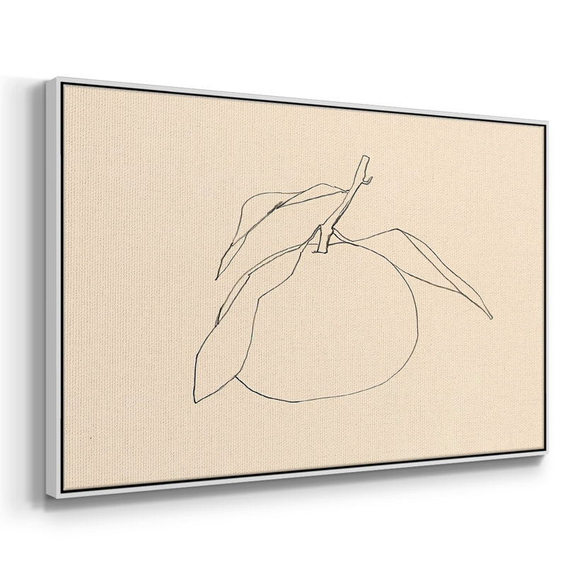 Citrus Contour I, reproduction d'art sur toile, H 25 po x l 37 po x P 2 po, Cadre blanc