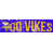 Minnesota Vikings