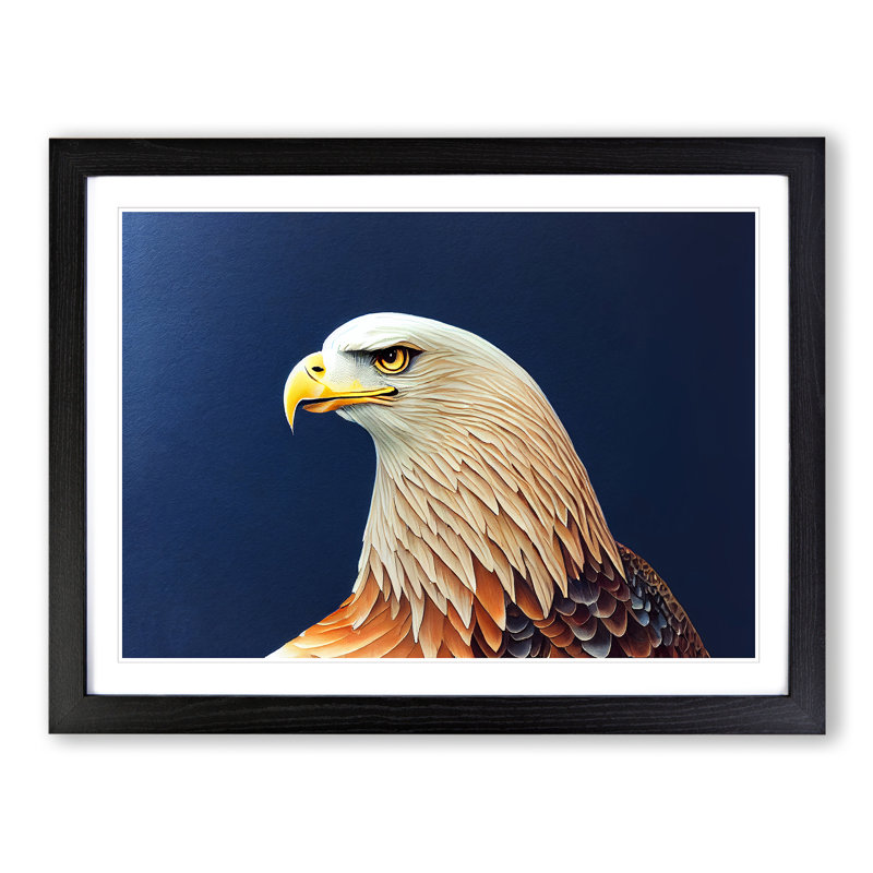 Eagle Bird Watercolour Vol.3 - Single Picture Frame Print, Black Frame, 46cm H x 64cm W x 2cm D