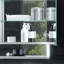 Surface Mirrored Bathroom Cabinets with Mirror and 2 Adjustable Shelves