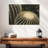 Harnek Barrel Cactus-107877458